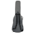 RGC3-B-EGR_3.png