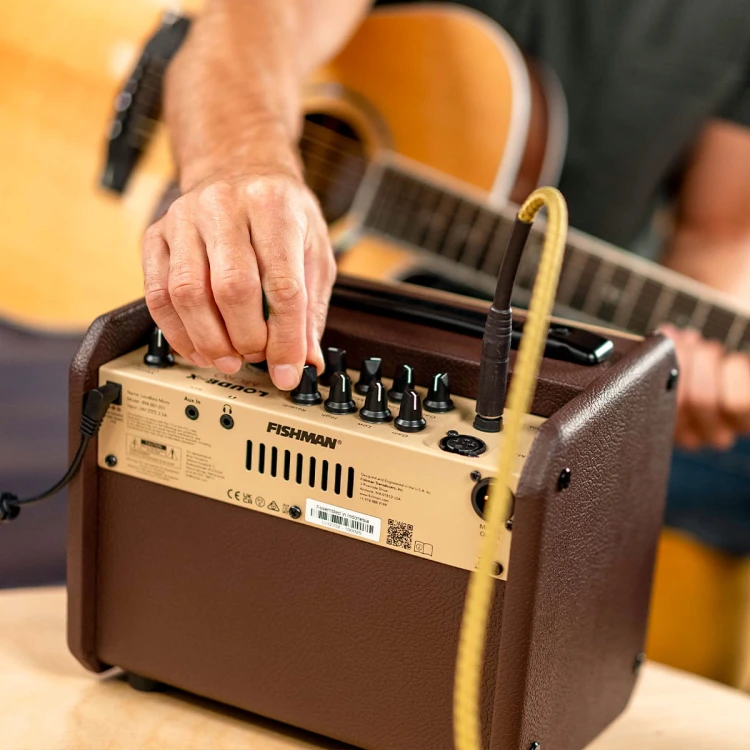 loudbox micro 7.jpg