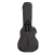 RGB4-SA-ANT_4.png