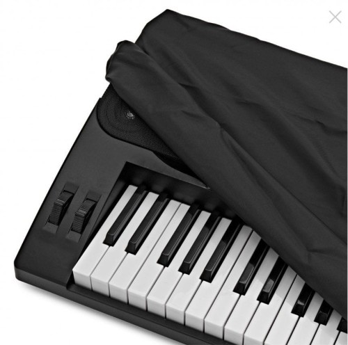 dust cover.jpg
