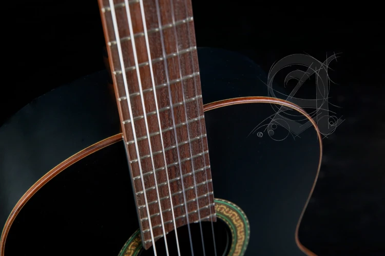 Alhambra 1C Black Satin 2.jpg