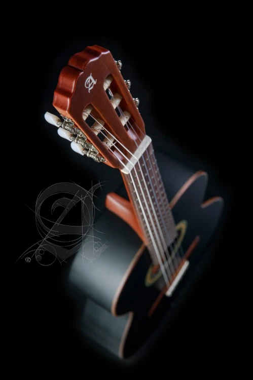 Alhambra 1C Black Satin 7.jpg