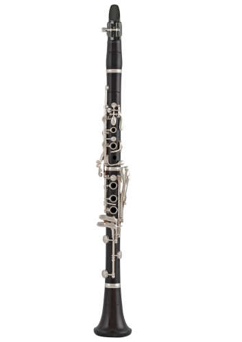 Projekt bez nazwy (31).png