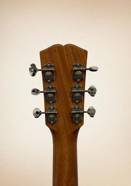 dowina darling6 (1).jpg