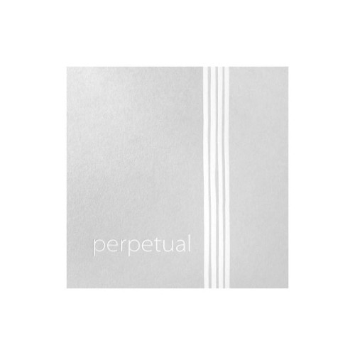 perpetual 420021.jpg