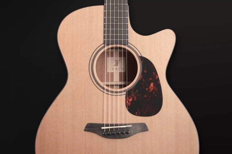 Furch MC Blue Gc-CM + LR Baggs SPE CNR Active 8.webp