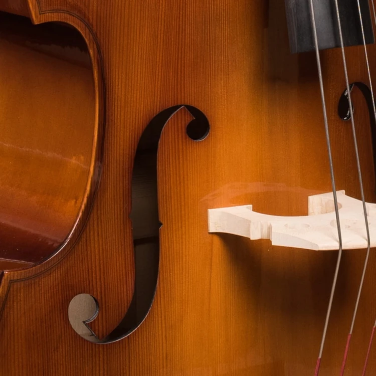 double-bass-rapsody-student-flat-6.jpg