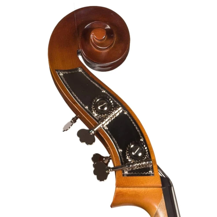 double-bass-rapsody-student-flat-7.jpg