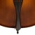 double-bass-rapsody-student-flat-8.jpg