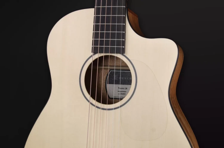 Furch Pioneer-EM CNR Active 7.webp