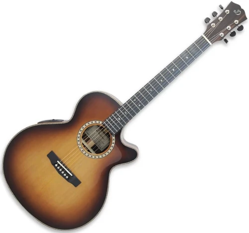 Dowina-Rioja-GACE-LB-s---gitara-elektroakustyczna-LR-Baggs.webp