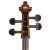 student-all-solid-cello-1.jpg