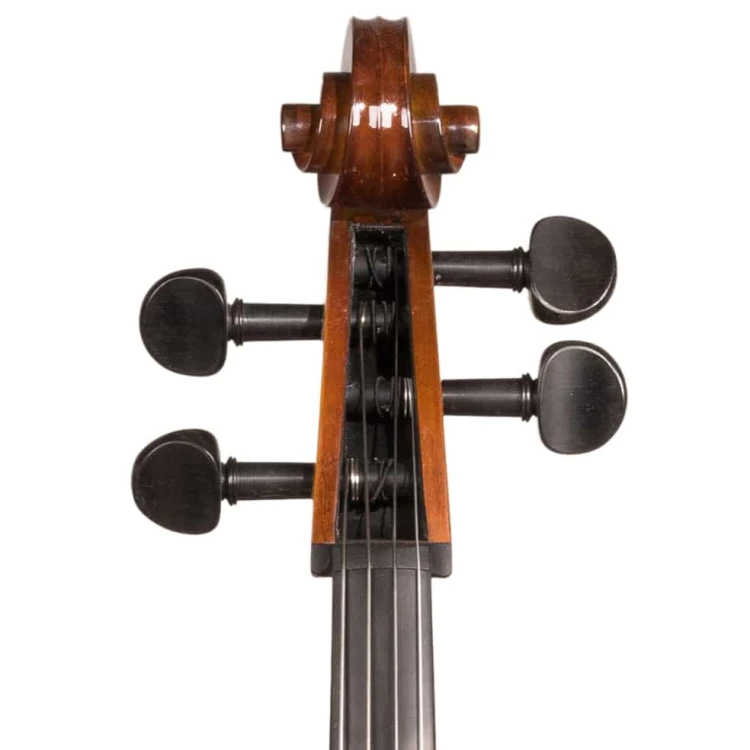 student-all-solid-cello-1.jpg