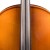 student-all-solid-cello-2.jpg