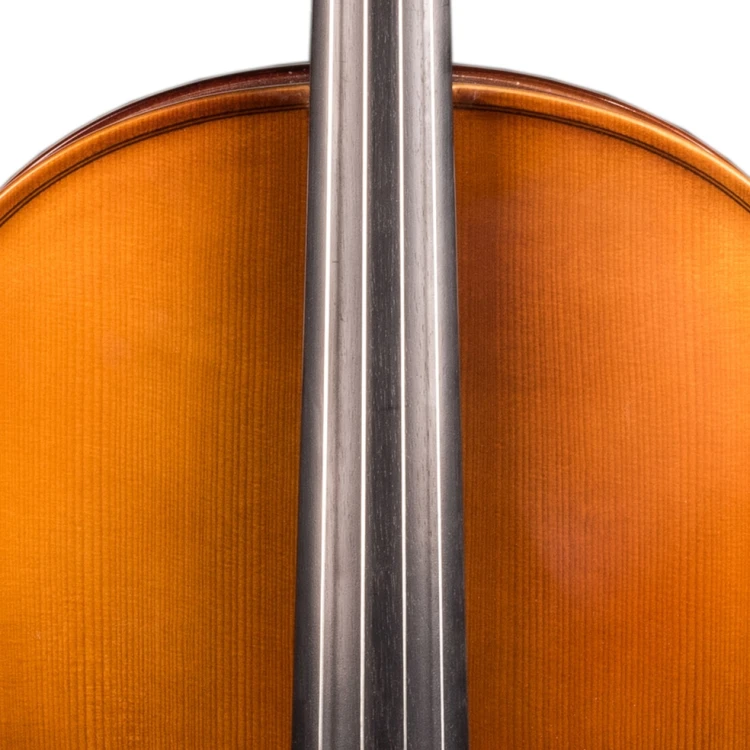 student-all-solid-cello-2.jpg