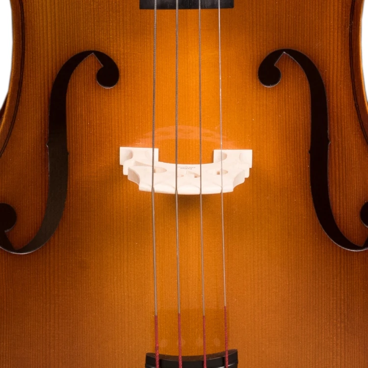 student-all-solid-cello-3.jpg