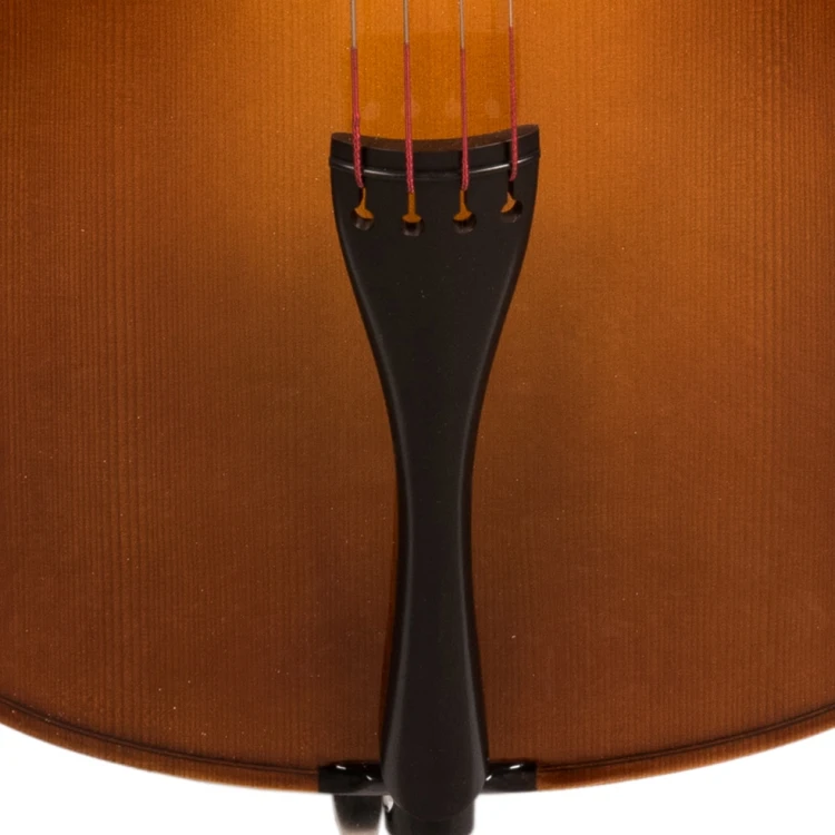 student-all-solid-cello-4.jpg
