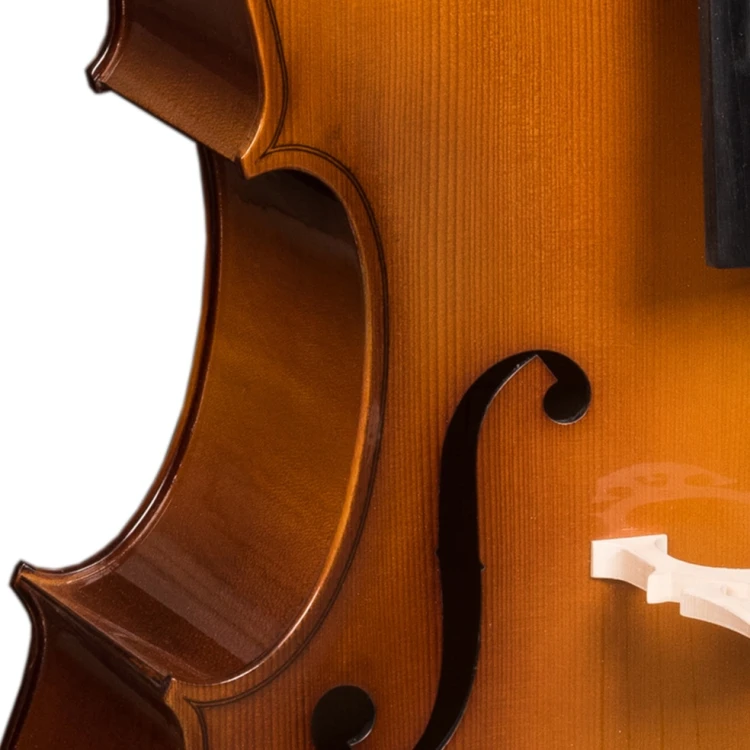 student-all-solid-cello-5.jpg