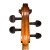 student-all-solid-cello-8.jpg