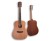 Dowina-Chianti-D12-DS-1.jpg