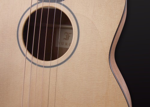 Travel guitar LJ10-SM 9.jpg