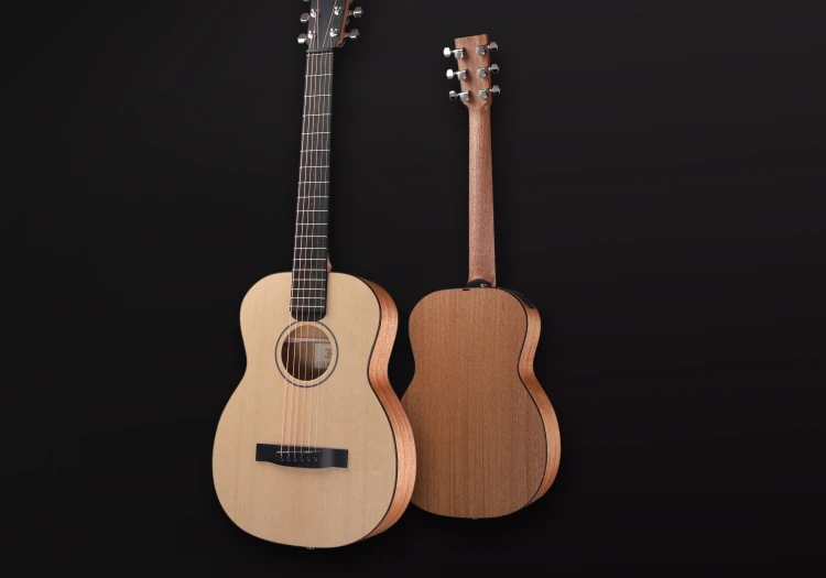 Travel guitar LJ10-SM 2.jpg