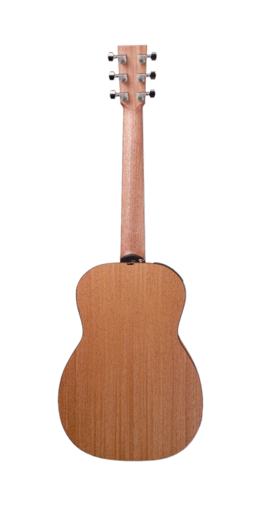 LJ10-SM back.png