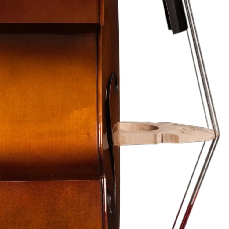 double-bass-rapsody-student-flat-3.jpg