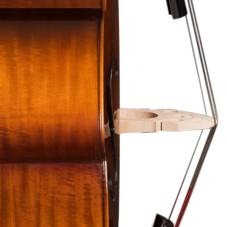 student-solid-top-double-bass-6-1.jpg
