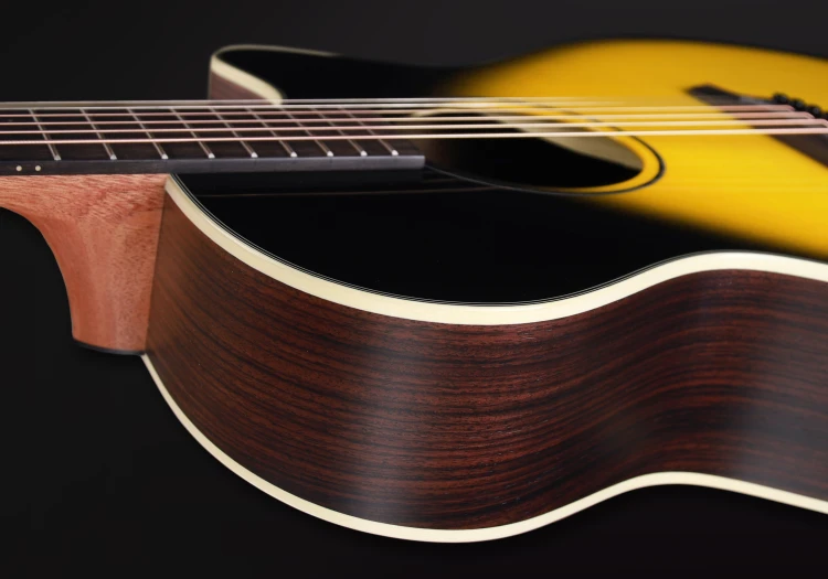 Spectra Plus OMc-ER Ricasoli Yellow 10.jpg