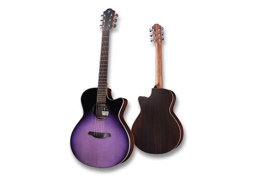 Spectra Plus Gc-ER Provence Violet 2.jpg