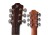 Spectra Plus OMc-ER  Sienna Amber 1w.jpg