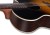 Spectra Plus OMc-ER Sienna Amber 7w.jpg