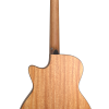 Furch-Blue-Plus-Gc-CM-back-100x100.png