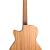 Furch-Blue-Plus-Gc-CM-back-100x100.png
