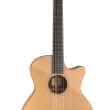 Furch-Blue-Plus-Gc-CM-front-100x100.png