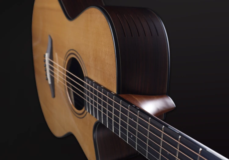 Green Deluxe Gc-TR 9.jpg