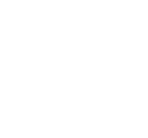 Producent: Violin-Racz (przejdź do strony: https://violin-racz.com/)